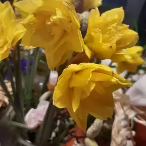 wiazanka-kwiatowa-30